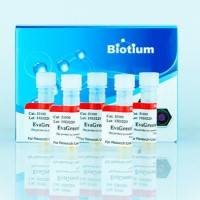 Biotium 核酸染料 EvaGreen Dye, 20X