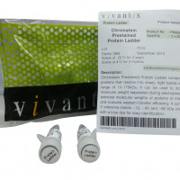 VC Lambda /PstI Marker