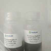 Genscript(金斯瑞)蛋白纯化介质,磁珠