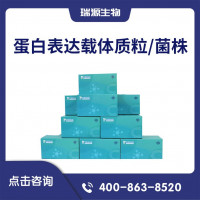 蛋白表达载体质粒/菌株