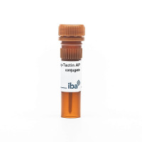 Strep-Tactin® AP conjugate