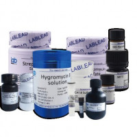 15000bp Plus  DNA Marker