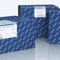 QIAamp Fast DNA Stool Mini Kit