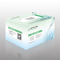 M-MLV Reverse Transcriptase (R