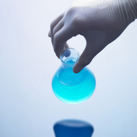 异水飞蓟宾标准品对照品