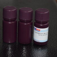 甘油明胶封片剂Glycerin Jelly