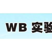 TAE核酸缓冲液(DNA电泳缓冲液)