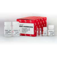 ColProof®植物RNA快速提取试剂盒 Col-R020