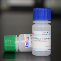非变性PAGE蛋白上样缓冲液(5X)