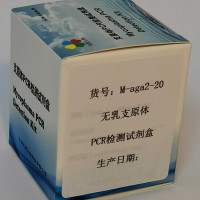 无乳支原体PCR检测试剂盒