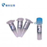 Tstbl3 Chemically Competent Ce