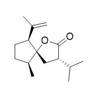 莪术内酯(Curcumalactone)
