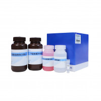 Stain-Free PAGE Gel Fast Prepa