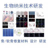 3D打印骨修复支架 软骨修复材料 软骨修复水凝胶 软骨修复支