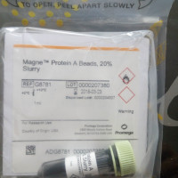 Magne™ Protein A Beads