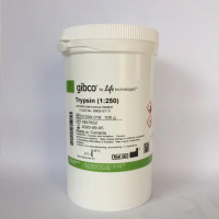 27250018 Trypsin (1:250) Powde