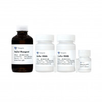 VeZol-Pure Total RNA Isolation