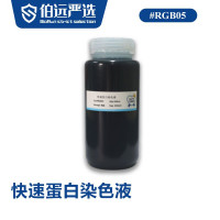 快速蛋白染色液