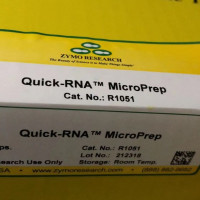 Zymo Research货号R1051现货RNA快速提取试