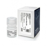 TaqMan™ Gene Expression Master