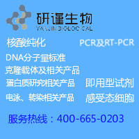 宽分子量蛋白质Marker