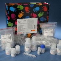 Thermo Scientific™ Pierce™ 交联