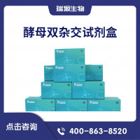 酵母核体系双杂交试剂盒（酵母双杂交文库筛选/酵母双杂交一对一