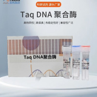 高活性热启动Taq DNA聚合酶