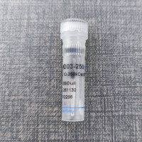 Multi-color Prestained Protein