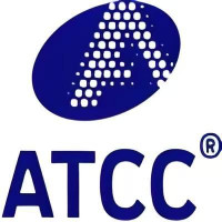ATCC6538金HUANG色葡萄球菌 标准菌株