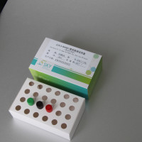 人HLA-B*5801基因检测试剂盒 （荧光PCR法）