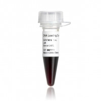 DNA Loading Dye