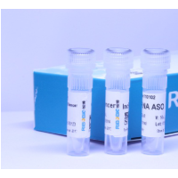 ASO-lncRNA/circRNA/基因