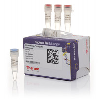 Thermo Scientific Phusion高保真DN