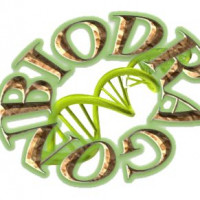 Biodragon博奥龙BDIT0062现货100bp La