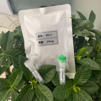 Endomorphin 2