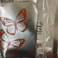 NEBNext ChIP-Seq Library Prep