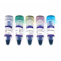 Ublot™ Prestained Protein Ladd
