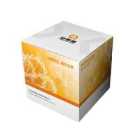 StarPure磁珠法质粒小提试剂盒