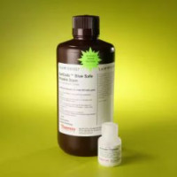 GelCode™ 蓝色安全蛋白染色剂