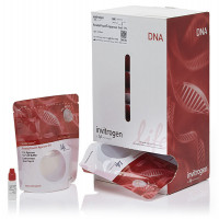 ReadyPouch™ 1% Agarose Gels wi