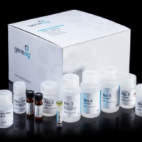 磁珠法痰病毒DNA/RNA提取试剂盒