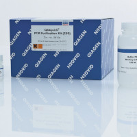 Qiagen 28106 PCR回收试剂盒