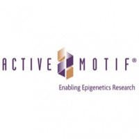 Cell-Free DNA (cfDNA) Purifica