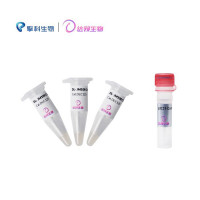 DL-JM108 Chemically Competent