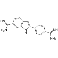 细胞核染色试剂 DAPI（蓝色）