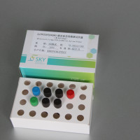 人CYP2C9和VKORC1基因多态性检测试剂盒（荧光PCR