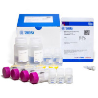 腺相关病毒试剂盒AAVpro® Purification K