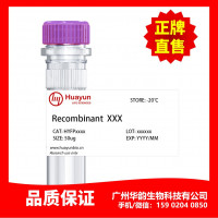 Recombinant SARS-CoV-2 Nucleop