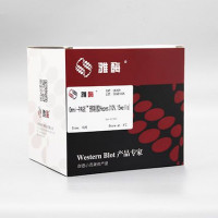 LK209 Omni-PAGE™ 预制胶 Hepes 10%